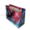 Recycle Luxury Customize Printing Gift Bag with Handle for Shopping